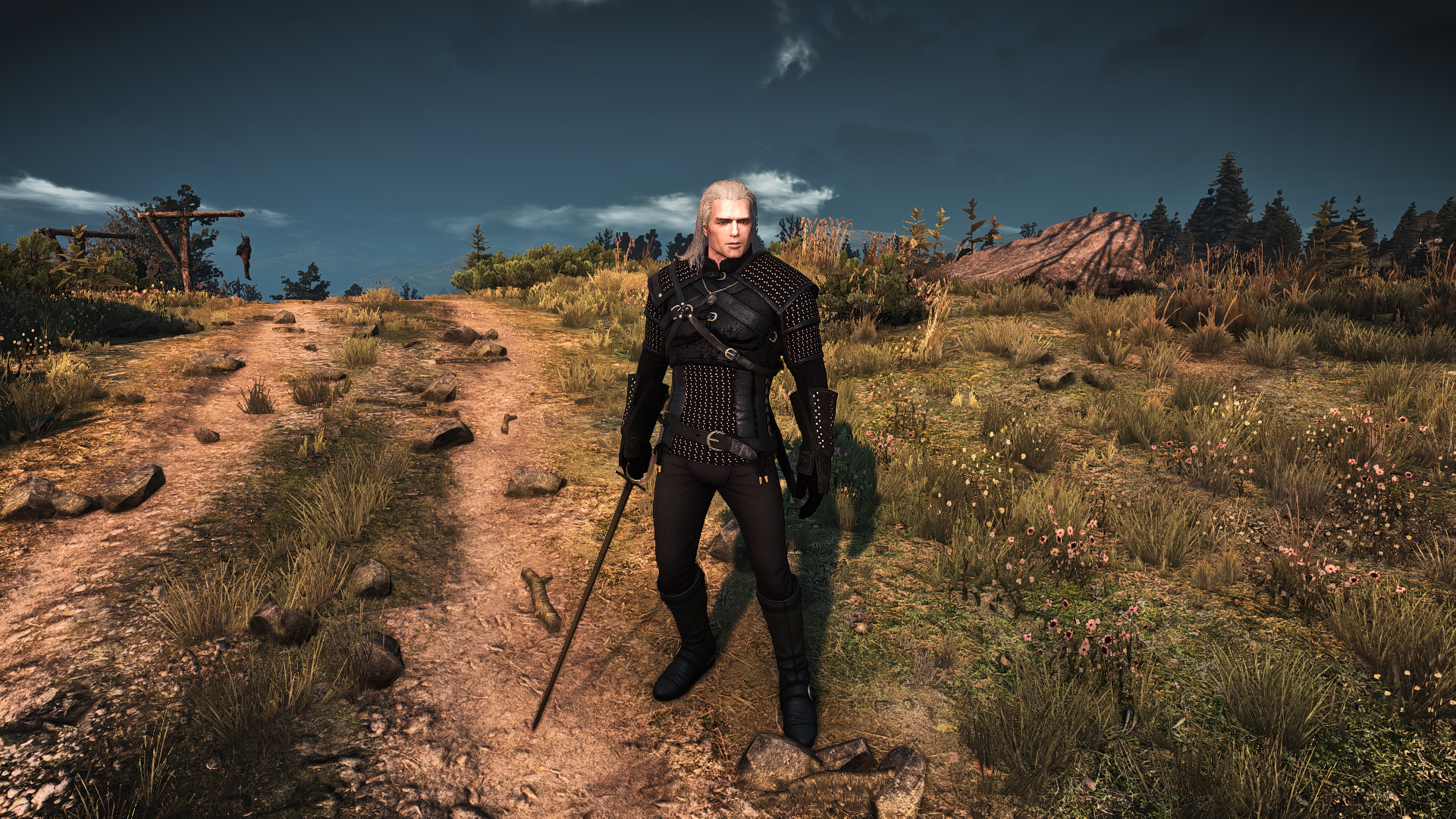 The witcher 3 fps low фото 89