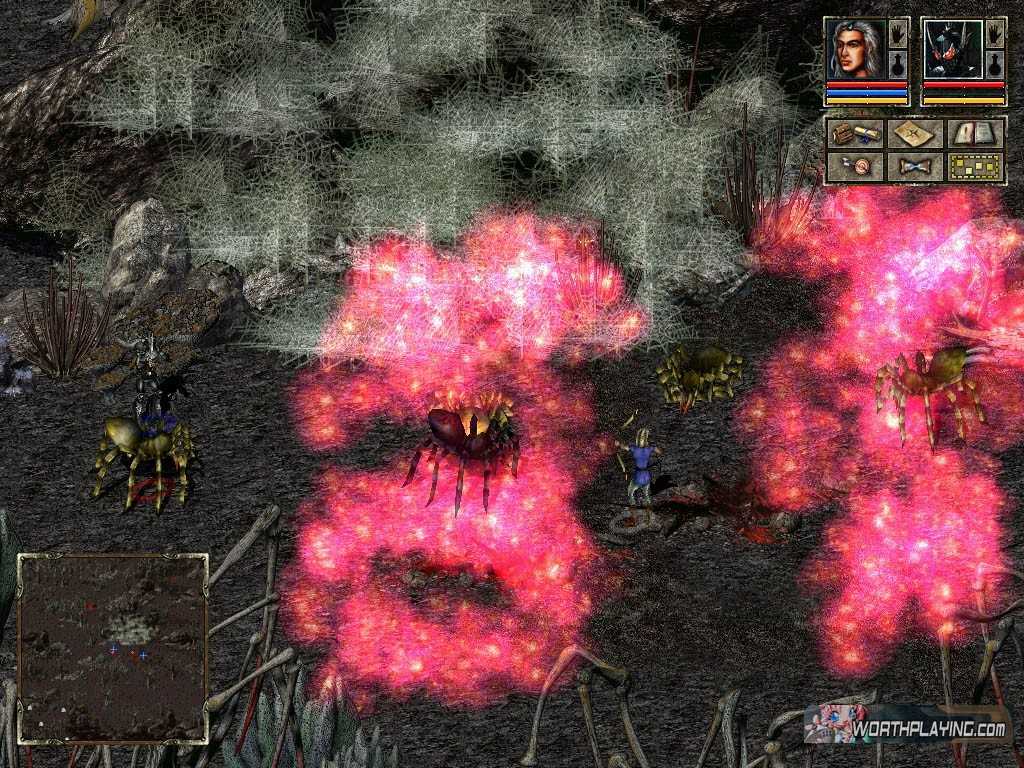 О разработке beyond divinity