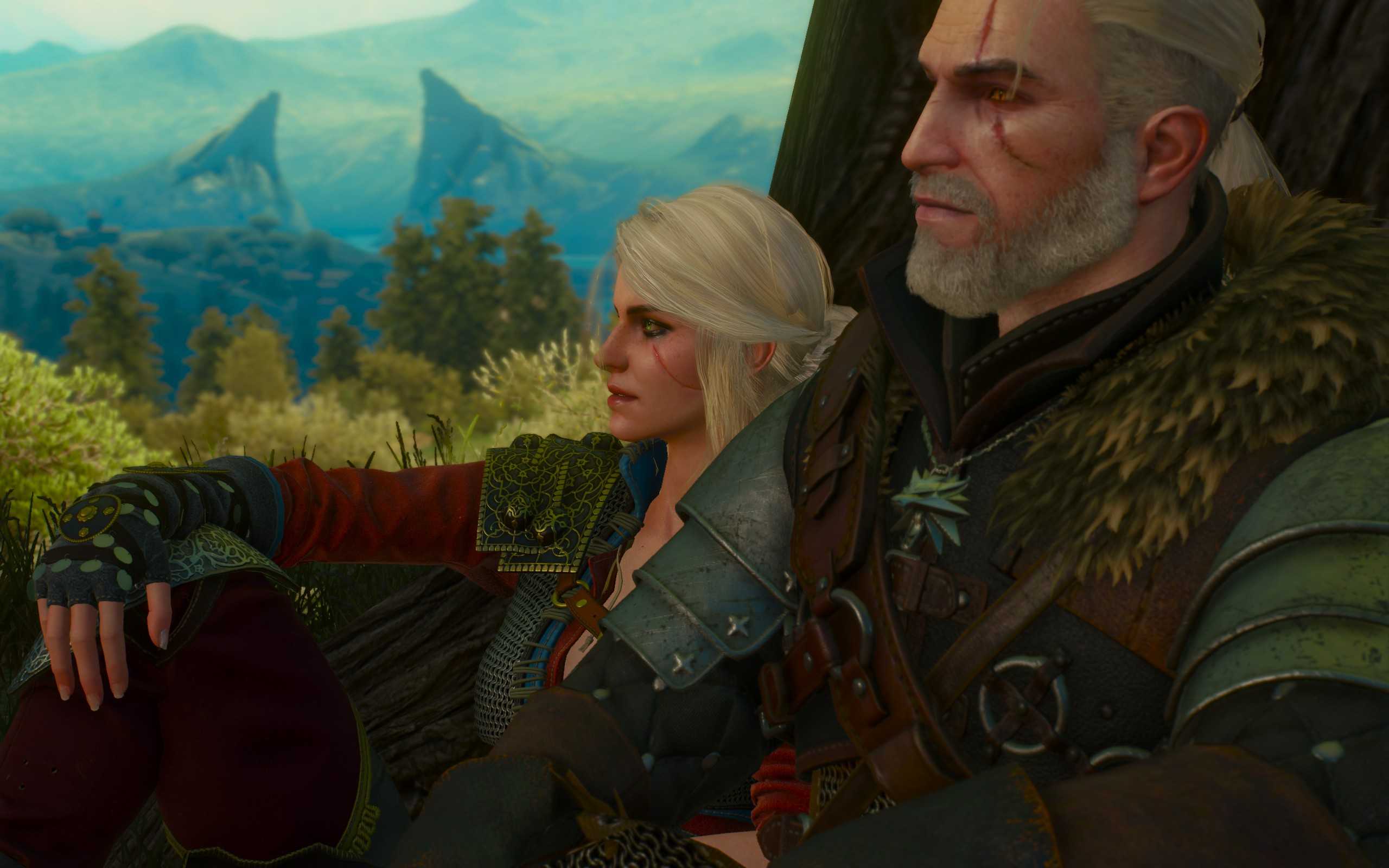 The witcher 3 blood and wine лучшая концовка фото 26