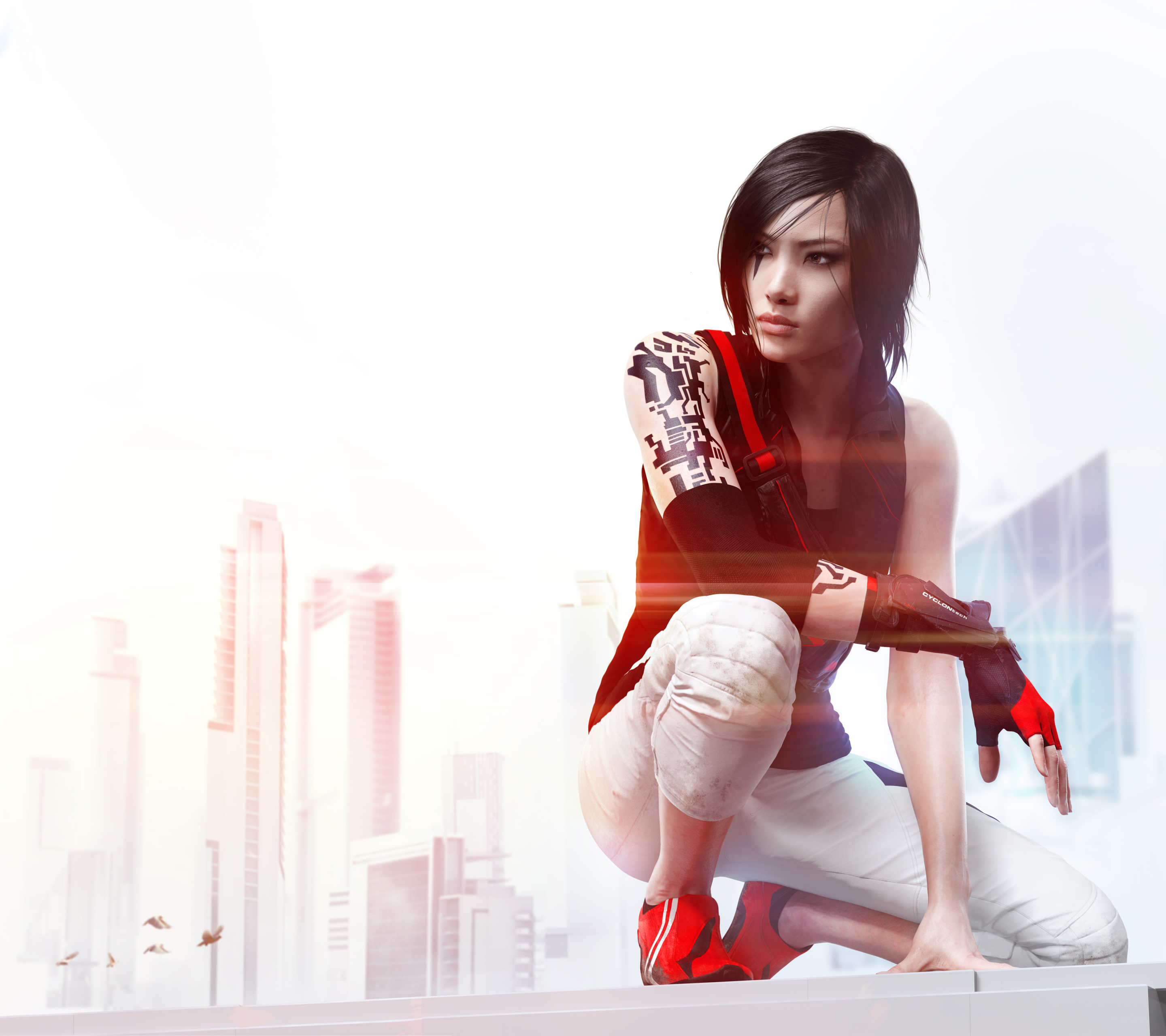 Миррор сейдж. Mirrors Edge Catalyst Фейт. Mirrors Edge 2. Mirrors Edge 2 Фейт. Mirror s Edge 2 Catalyst.