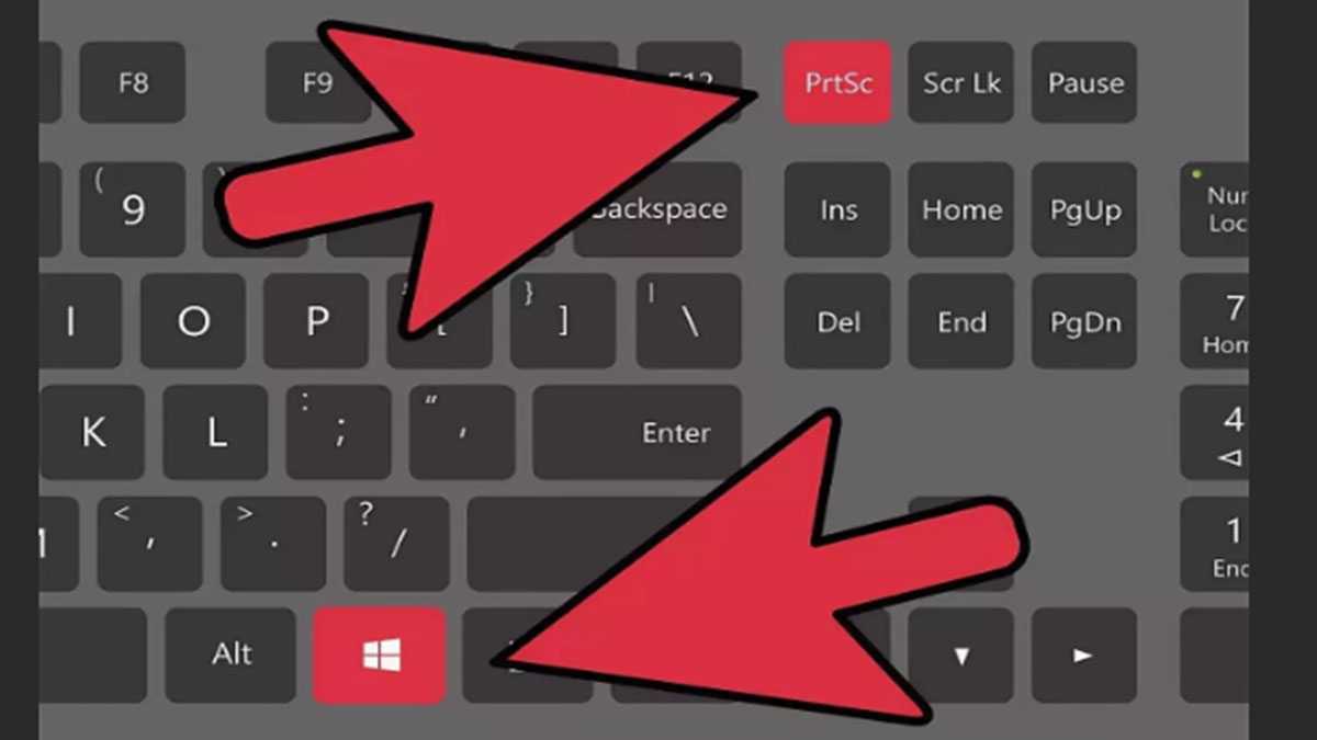 10 способов сделать скриншот на компьютере или ноутбуке