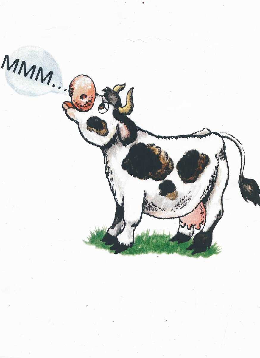 Звук издает корова. Корова мычит. Теленок мычит для детей. Мычание коровы для детей. Корова мычала картинка для дошкольников.