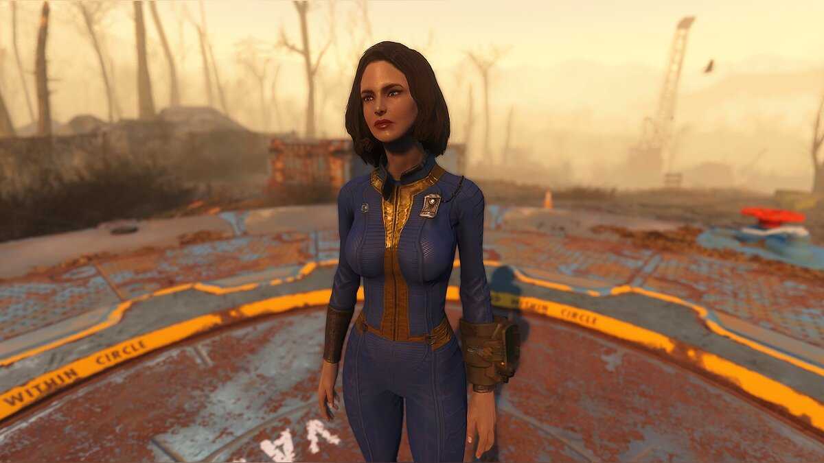 Fallout 4 реплейсер картин для поселений 18 фото 55