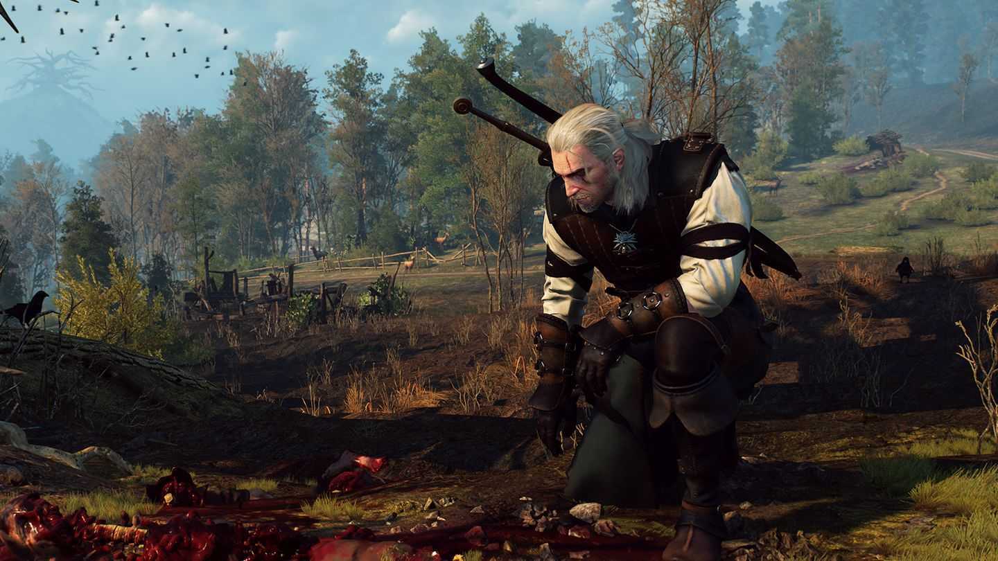 The witcher 3 nintendo switch patch фото 115