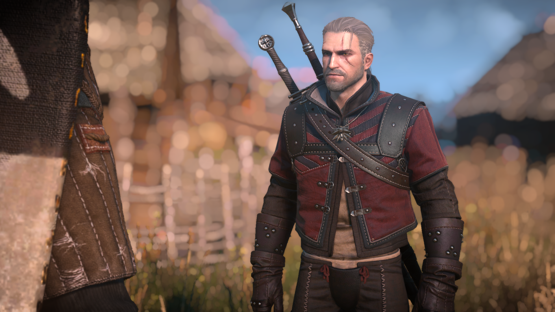 The witcher 3 scaling gear фото 102