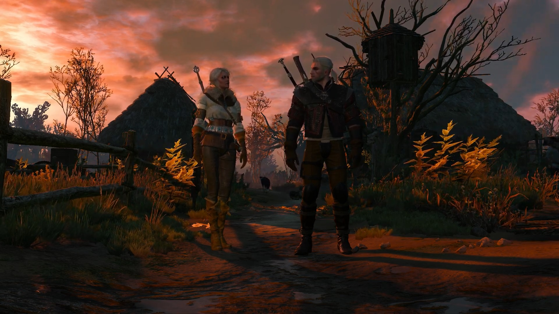 New quest the witcher 3 фото 31