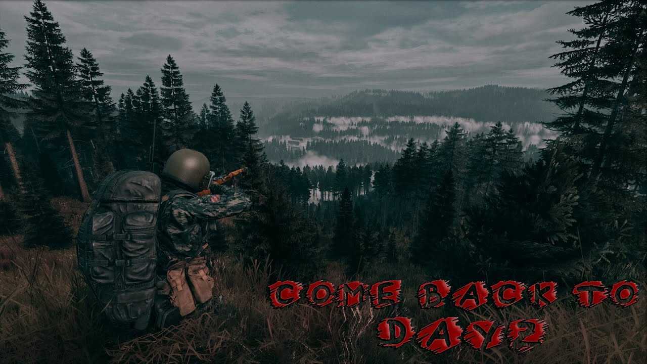 Лучшие серверы для dayz